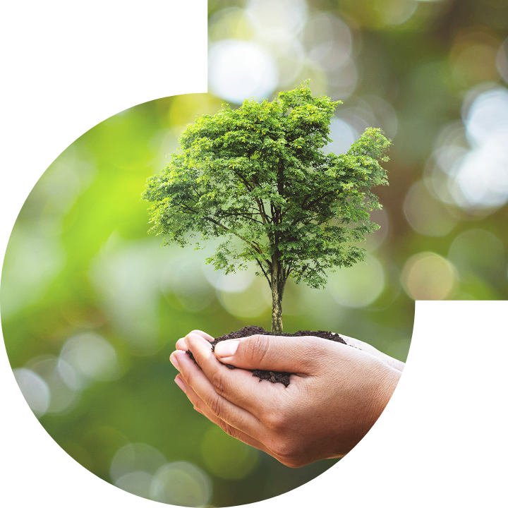 关怀人类、文化、环境与社会